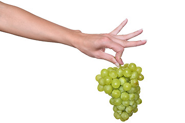 Image showing a brunch of green grape in the hand