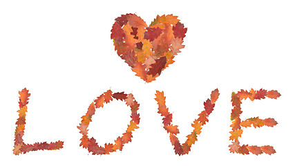 Image showing word love made of autumn leaves