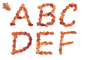 Image showing alphabet made of autumn leaves