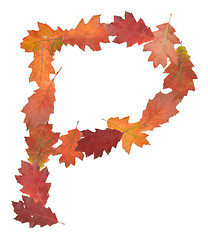 Image showing letter made of oak autumn leaves