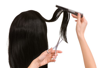 Image showing hairdresser cutting young woman