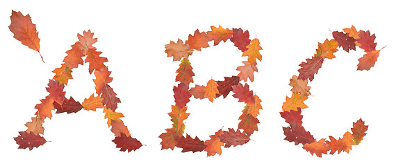 Image showing alphabet made of autumn leaves