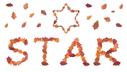 Image showing word star made of autumn leaves