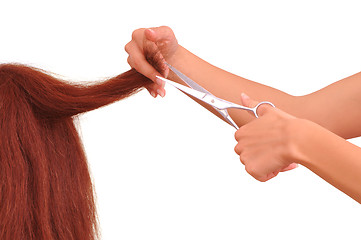 Image showing hairdresser cutting young woman