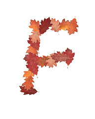 Image showing letter made of oak autumn leaves