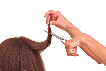 Image showing hairdresser cutting young woman