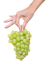 Image showing a brunch of green grape in the woman's hand