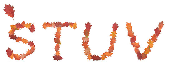 Image showing alphabet made of autumn leaves