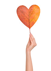 Image showing autumn leaf in the shape of heart