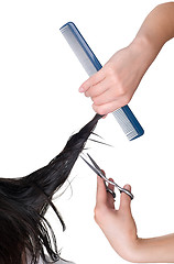Image showing hairdresser cutting young woman