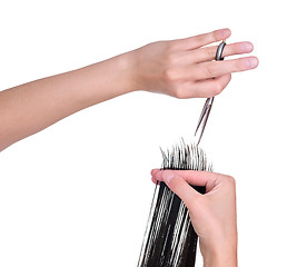 Image showing hairdresser cutting young woman