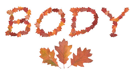 Image showing word body made of autumn leaves as a button