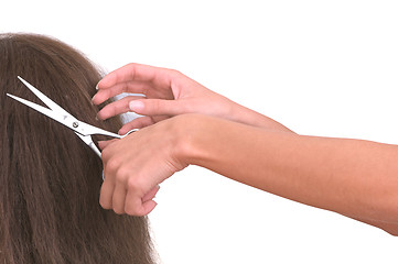 Image showing hairdresser cutting young woman