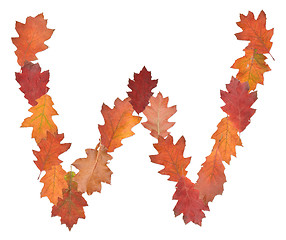 Image showing letter made of oak autumn leaves