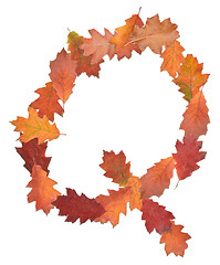 Image showing letter made of oak autumn leaves