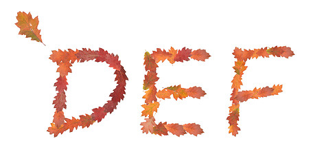 Image showing alphabet made of autumn leaves