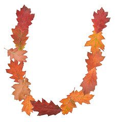 Image showing letter made of oak autumn leaves