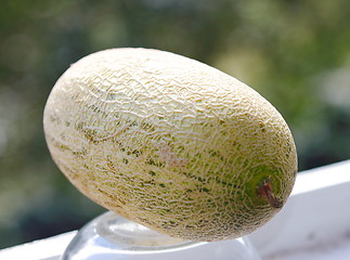 Image showing  melon
