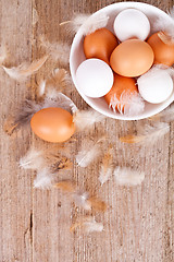 Image showing eggs in a bowl  and feathers