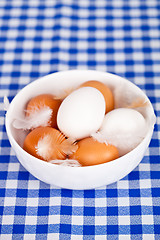 Image showing eggs and feathers in a bowl