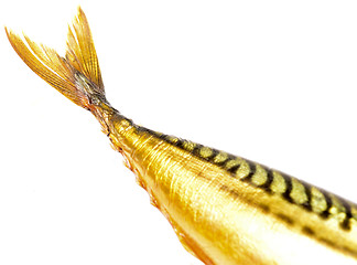 Image showing fish tail