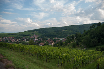 Image showing Alsace landscape and vinewyard