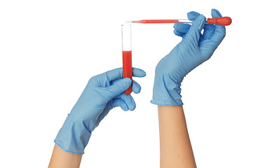 Image showing sample of bloods