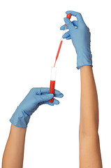 Image showing sample of bloods