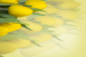 Image showing Yellow tulips