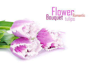 Image showing pink tulips 