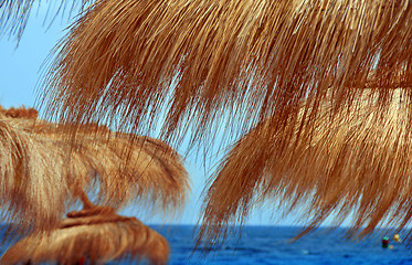 Image showing Beach sunshades