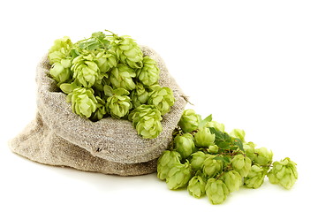 Image showing Hop cones in a bag.