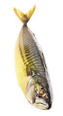 Image showing smoked mackerel