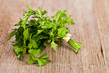 Image showing bunch of fresh parsley