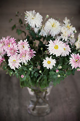 Image showing pink asters in glass vase