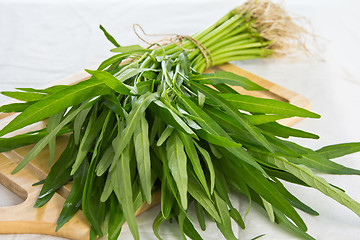 Image showing Morning glory vegetable