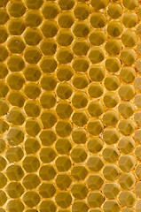 Image showing Honeycomb fo honey closeup macro background. 