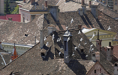 Image showing Sighisoara