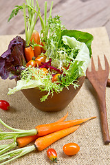 Image showing Fresh vegetables salad 