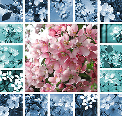 Image showing Spring collage