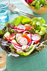 Image showing Healthy salad with japanese sesame dressing