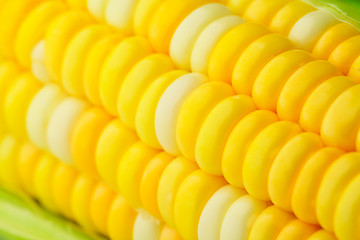 Image showing corn cob