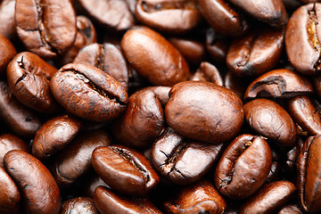 Image showing coffee bean