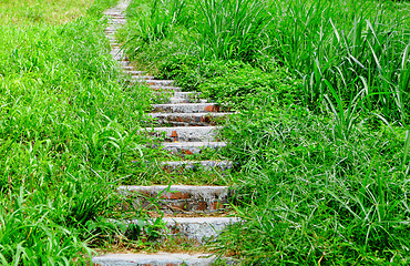 Image showing mountain path