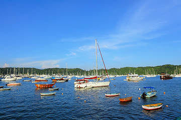 Image showing yachts in bay