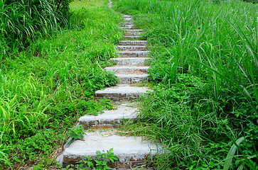 Image showing mountain path for hiking