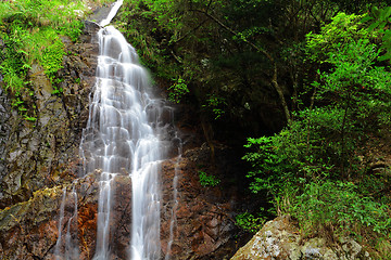 Image showing waterfall