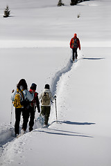 Image showing snowshoeing in the fresh snow