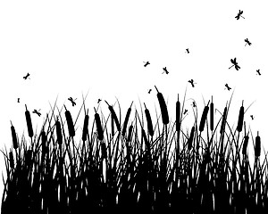 Image showing meadow silhouettes