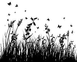 Image showing meadow silhouettes